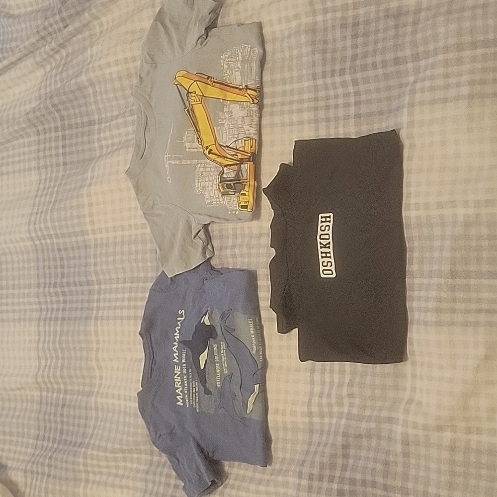 4T Tshirt Lot (Carters, Oshkosh, Children's Place)